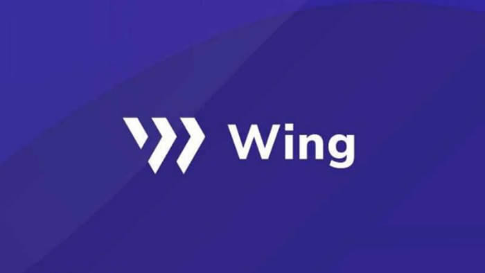 图片[1] - WING是什么币种?WING币未来前景如何?
