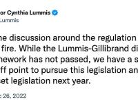 参议员Cynthia Lummis：2022年围绕数字资产监管的讨论被点燃了