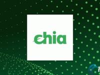 XCH是空气币吗？奇亚币是骗局吗？