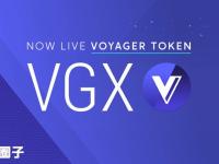 VGX币发行量多少？VGX币总量介绍