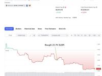 LBR最大的个人持有者的10小时前购入2.37万的LBR