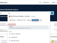 Etherscan新增域名查询功能