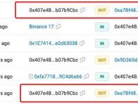 一名ZeroTransfer诈骗者盗取了2000万枚USDT