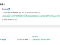 6000万枚XRP从Ripple转至未知钱包