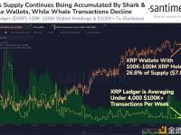 拥有10万至1亿枚XRP的钱包共持有近30%的XRP供应