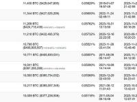 某巨鲸自11月28日以来已累计持有10796枚BTC，未实现利润1120万美元