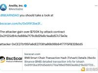 Ancilia：BSC生态项目BEARNDAO遭攻击，攻击者获利超70万美元