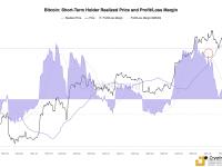 CryptoQuant研究主管：未实现利润率显示目前并没有修正风险