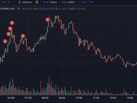 某聪明钱以超0.8 ETH Gas费用购入163美元MINER，总利润越5.9万美元