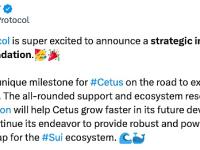 DEX及流动性协议Cetus宣布获得Sui基金会战略投资