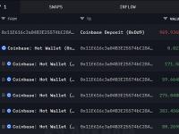 某聪明钱3天前将97万枚APE存入Coinbase