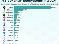 Solana以49.3%的投资者兴趣成为今年最受欢迎的区块链生态系统