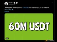 MEME项目Pundu已筹集1亿美元资金