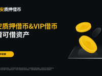 币安质押借币（活期利率）及VIP借币新增可借资产 - 2024-04-24