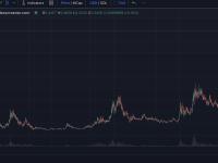 一交易员在5个月内通过PONKE获利1,705倍