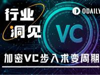 深度对话：加密VC生死考验，出局还是出圈？