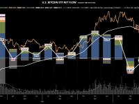 美国比特币现货ETF 5月总净流入52亿美元