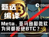 为什么Meta、亚马逊和微软不碰比特币？