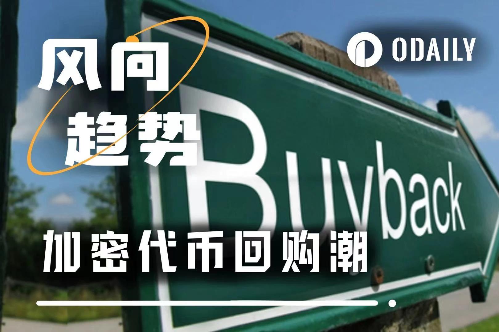 图片[1] - 从增长幻觉到现金流现实：当回购成为山寨币的集体叙事