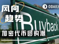 从增长幻觉到现金流现实：当回购成为山寨币的集体叙事