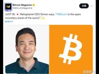 日本Metaplanet CEO：Bitcoin是世界顶级货币资产