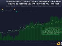 比特币鲸鱼自上周回调以来已累计增持20,061枚BTC