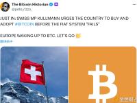 瑞士国会议员呼吁本国在法定货币体系 “崩溃” 前购买并采用比特币