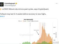 比特币此次回调可能会持续2至4周，之后将回升至新的高点