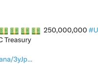 2.5 亿枚USDC在USDC Treasury中铸造完成