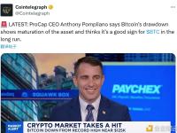 ProCap首席执行官：比特币的回调表明该资产正在成熟
