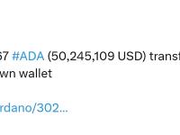 59,356,167 枚ADA从Bitstamp转移至未知钱包