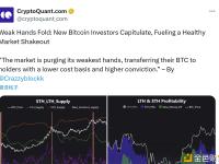 CryptoQuant：比特币新投资者认输离场，推动市场健康洗牌
