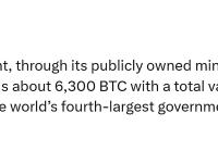 阿联酋政府通过其国有矿企Citadel Mining持有约 6300 枚比特币