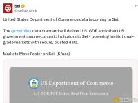 Sei：美国商务部数据即将接入Sei网络