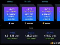 萨尔瓦多近7日共增持28枚BTC，总持仓达6,318.18枚