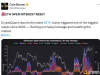 CryptoQuant：以太坊大量杠杆资金被清算，市场状态得以重新调整