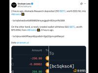 Alameda于2小时前将250枚BTC存入Binance