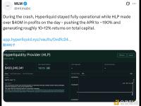 市场崩盘期间Hyperliquid上流动性提供者当天实现超4,000万美元利润