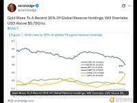 黄金在全球外汇储备持有量中的占比升至 30% 的历史新高