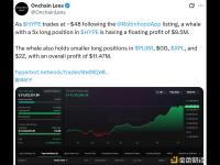 某鲸鱼 HYPE 5 倍多头持仓浮盈 950 万美元，总持仓盈利达 1147 万美元