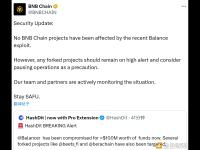 BNB Chain：Balancer事件未影响任何BNB Chain项目，但所有分叉项目仍需保持警惕