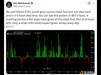 彭博ETF分析师：比特币ETF短期流出很正常，不要期待每天都上涨