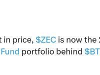 Arthur Hayes：ZEC已是Maelstrom Fund的第二大流动性持仓