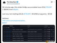 某巨鲸从Bybit累积购入12.1万枚TRUMP，价值约 95.1 万美元