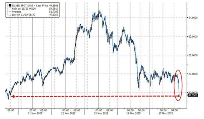 图片[14] - 科技股、币圈、黄金“三杀”，美股跌破关键支撑位，美国市场遭遇“全面抛售”