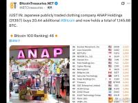 日本上市公司ANAP Holding增持20.44枚比特币，总持仓1145.68枚
