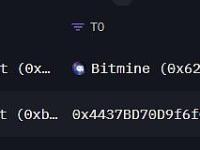 Bitmine再度增持17,242枚ETH，价值约4,907万美元