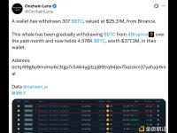 某巨鲸从币安提取307枚BTC，目前总计持有价值3.77亿美元的BTC