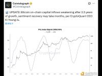 CryptoQuant：比特币链上资金流入在持续增长2.5年后开始减弱
