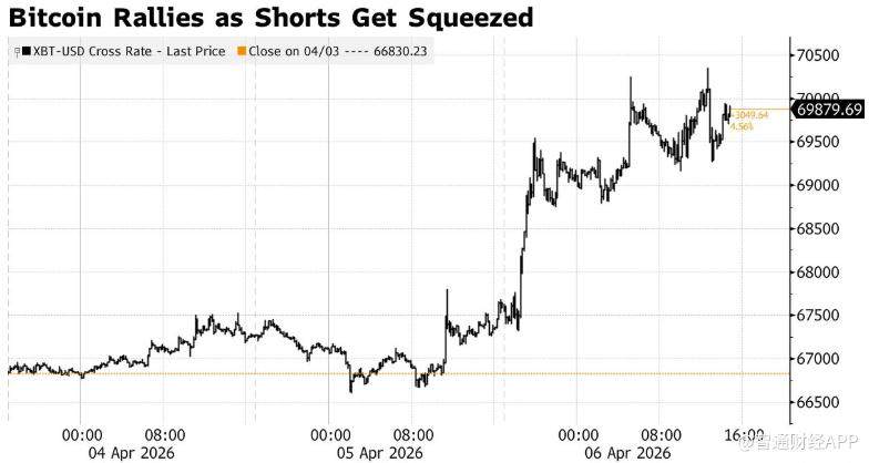 图片[1] - 空头强平规模超1.45亿美元 比特币逼空反弹一度突破7万美元